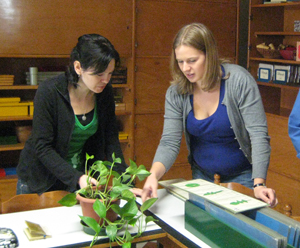 Students working with botany material